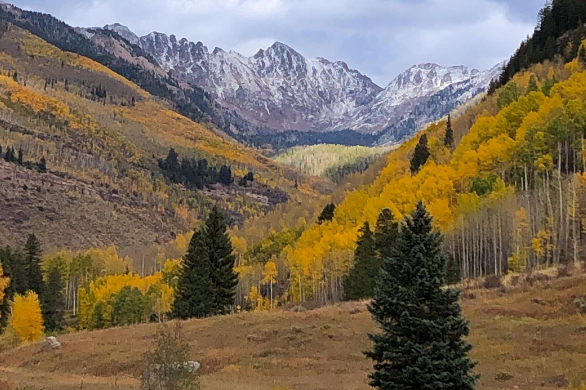 Fallridge Vail Zimmer foto